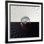 Variations on a Circle 34-Philippe Sainte-Laudy-Framed Photographic Print