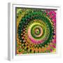 Variations on a Circle 9-Philippe Sainte-Laudy-Framed Photographic Print