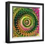 Variations on a Circle 9-Philippe Sainte-Laudy-Framed Premium Photographic Print