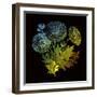 Varicoloured View-Kareem Rizk-Framed Giclee Print