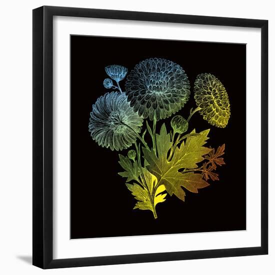 Varicoloured View-Kareem Rizk-Framed Giclee Print