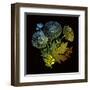 Varicoloured View-Kareem Rizk-Framed Giclee Print