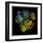 Varicoloured View-Kareem Rizk-Framed Giclee Print