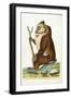 Variegated Baboon or Mandrill Mandrillus Sphinx-Frederick Polydor Nodder-Framed Giclee Print