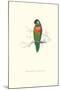 Variegated Parakeet - Trichoglossus Versicolor-Edward Lear-Mounted Art Print