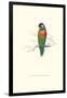 Variegated Parakeet - Trichoglossus Versicolor-Edward Lear-Framed Art Print