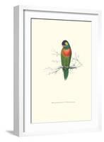 Variegated Parakeet - Trichoglossus Versicolor-Edward Lear-Framed Art Print