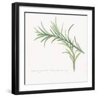 Variegated Rosemary-Chris Paschke-Framed Art Print