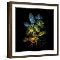 Variegated Vision-Kareem Rizk-Framed Giclee Print