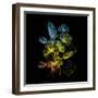 Variegated Vision-Kareem Rizk-Framed Giclee Print