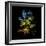 Variegated Vision-Kareem Rizk-Framed Giclee Print