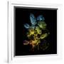 Variegated Vision-Kareem Rizk-Framed Giclee Print