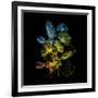 Variegated Vision-Kareem Rizk-Framed Giclee Print