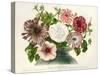 Varietes Nouvelles de Petunias-null-Stretched Canvas