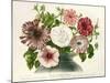 Varietes Nouvelles de Petunias-null-Mounted Giclee Print