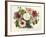 Varietes Nouvelles de Petunias-null-Framed Giclee Print