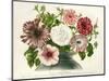 Varietes Nouvelles de Petunias-null-Mounted Giclee Print