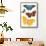 Varieties of Butterfly-null-Framed Stretched Canvas displayed on a wall