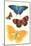 Varieties of Butterfly-null-Mounted Art Print