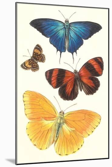 Varieties of Butterfly-null-Mounted Art Print