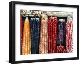 Varieties of Corn that Lacandons Grow in Their Milpas, Selva Lacandona, Naha, Chiapas, Mexico-Russell Gordon-Framed Photographic Print