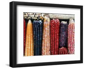 Varieties of Corn that Lacandons Grow in Their Milpas, Selva Lacandona, Naha, Chiapas, Mexico-Russell Gordon-Framed Photographic Print