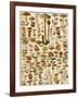 Varieties of Mushrooms-null-Framed Giclee Print