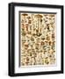 Varieties of Mushrooms-null-Framed Giclee Print