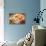 Varieties of Nuts: Cashew, Pistachio, Almond.-Voy-Stretched Canvas displayed on a wall