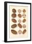 Varieties of Pecan and Walnut-null-Framed Art Print