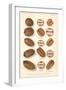 Varieties of Pecan and Walnut-null-Framed Art Print