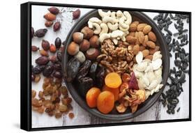 Variety of 12 Assorted Nuts and Dried Fruits-alenkasm-Framed Stretched Canvas