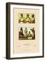 Variety of African Costumes-Racinet-Framed Art Print