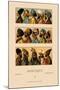 Variety of Asiatic Head-Coverings-Racinet-Mounted Art Print