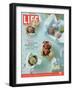 Variety of Chocolate Truffles, December 15, 2006-Kirsten Strecker-Framed Photographic Print