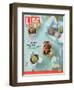 Variety of Chocolate Truffles, December 15, 2006-Kirsten Strecker-Framed Photographic Print