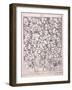 Variety of Expressions, 1743-William Hogarth-Framed Giclee Print