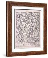 Variety of Expressions, 1743-William Hogarth-Framed Giclee Print