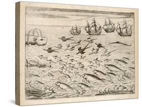 Variety of Fish Flying Fish Whales and Seals Seen by Ships En Route to India-Theodor de Bry-Stretched Canvas