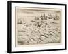 Variety of Fish Flying Fish Whales and Seals Seen by Ships En Route to India-Theodor de Bry-Framed Art Print