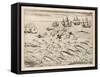 Variety of Fish Flying Fish Whales and Seals Seen by Ships En Route to India-Theodor de Bry-Framed Stretched Canvas