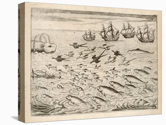 Variety of Fish Flying Fish Whales and Seals Seen by Ships En Route to India-Theodor de Bry-Stretched Canvas