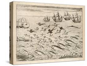 Variety of Fish Flying Fish Whales and Seals Seen by Ships En Route to India-Theodor de Bry-Stretched Canvas