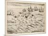 Variety of Fish Flying Fish Whales and Seals Seen by Ships En Route to India-Theodor de Bry-Mounted Art Print