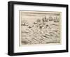 Variety of Fish Flying Fish Whales and Seals Seen by Ships En Route to India-Theodor de Bry-Framed Art Print
