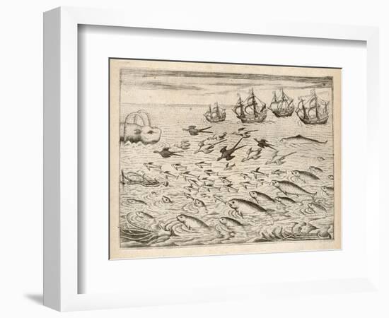 Variety of Fish Flying Fish Whales and Seals Seen by Ships En Route to India-Theodor de Bry-Framed Art Print