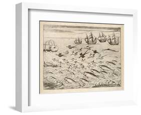 Variety of Fish Flying Fish Whales and Seals Seen by Ships En Route to India-Theodor de Bry-Framed Art Print