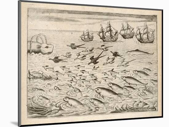 Variety of Fish Flying Fish Whales and Seals Seen by Ships En Route to India-Theodor de Bry-Mounted Art Print