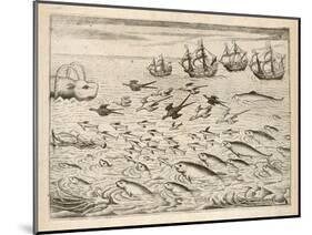 Variety of Fish Flying Fish Whales and Seals Seen by Ships En Route to India-Theodor de Bry-Mounted Art Print