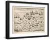 Variety of Fish Flying Fish Whales and Seals Seen by Ships En Route to India-Theodor de Bry-Framed Art Print